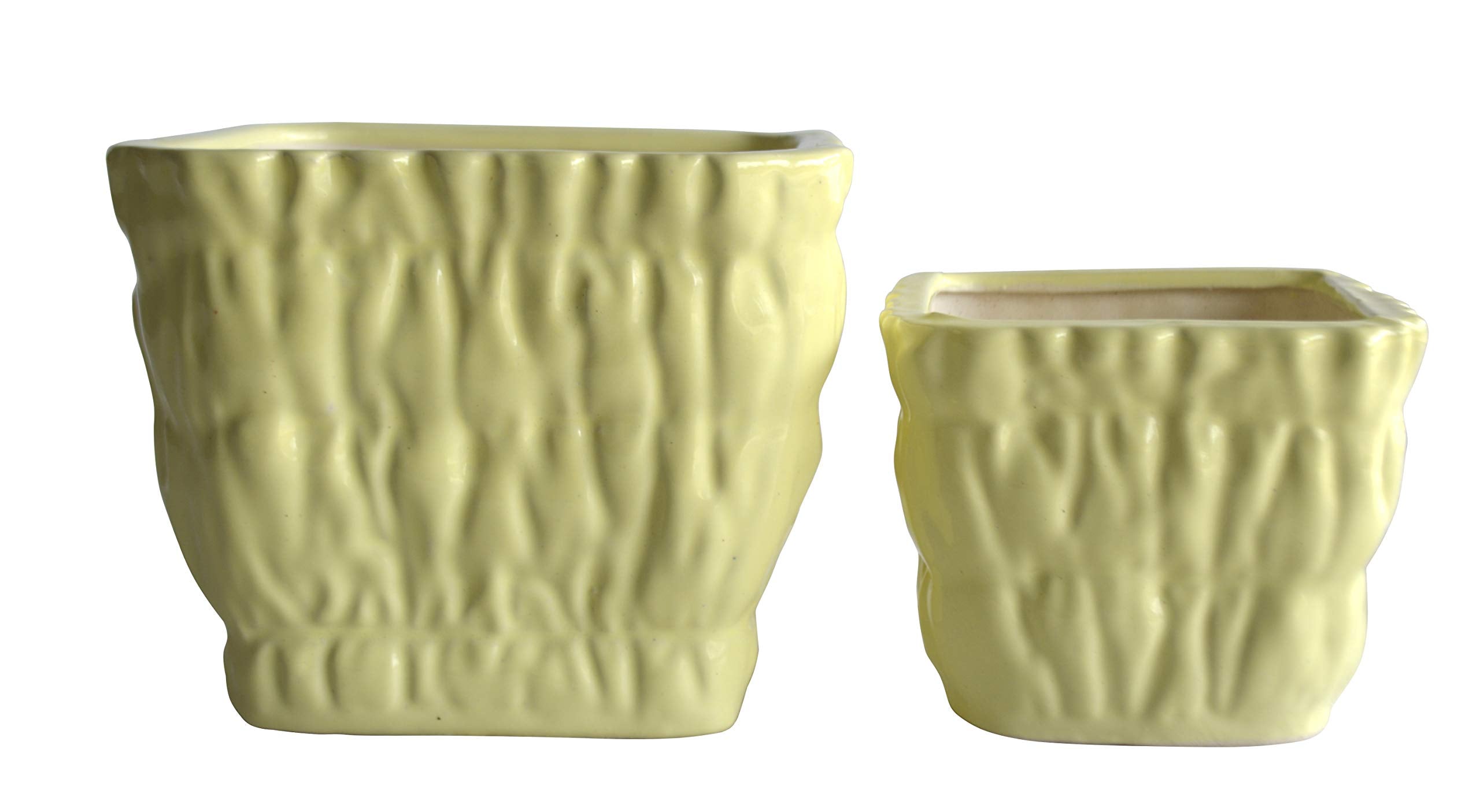 UrbanRoots Square Carving Ceramic Pot Combo Set (Pineapple Yellow)