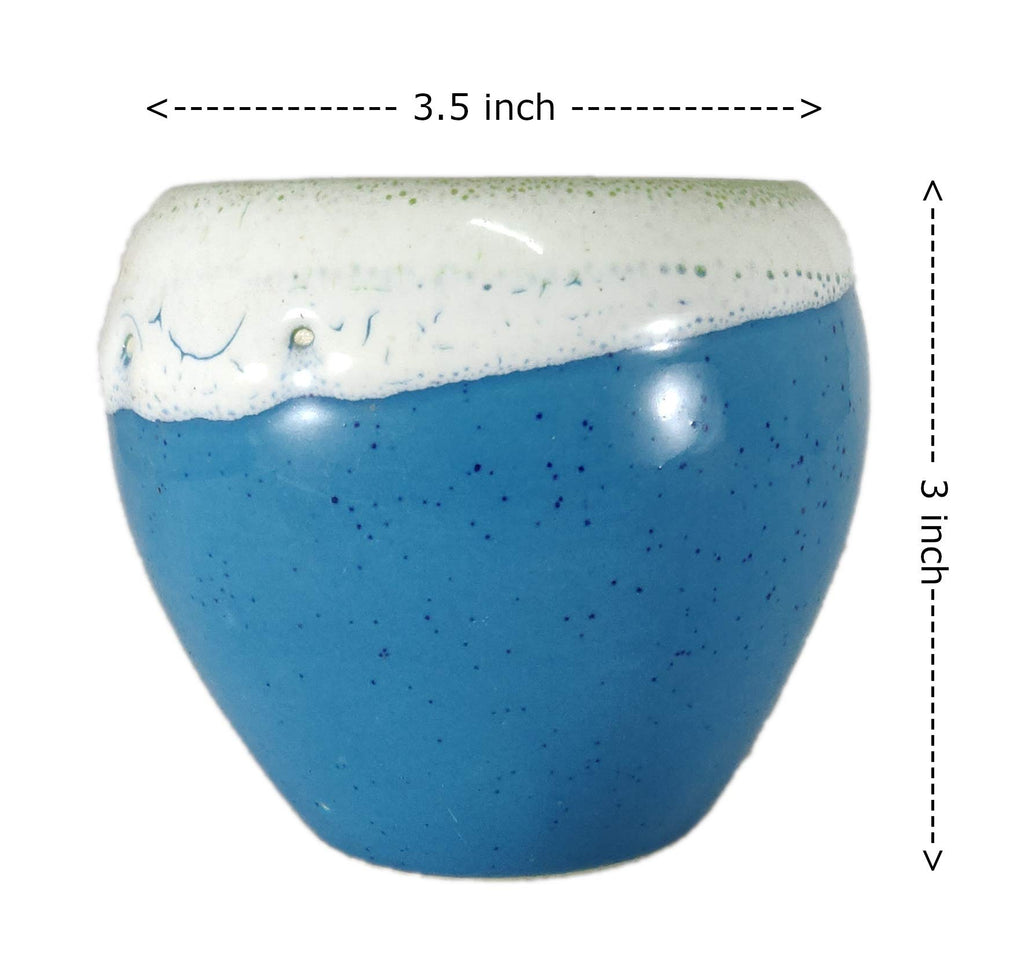 UrbanRoots Small Apple Ceramic Pot (Blue)