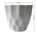 UrbanRoots Pineapple Ceramic Pot (5 inch) (Light Grey)