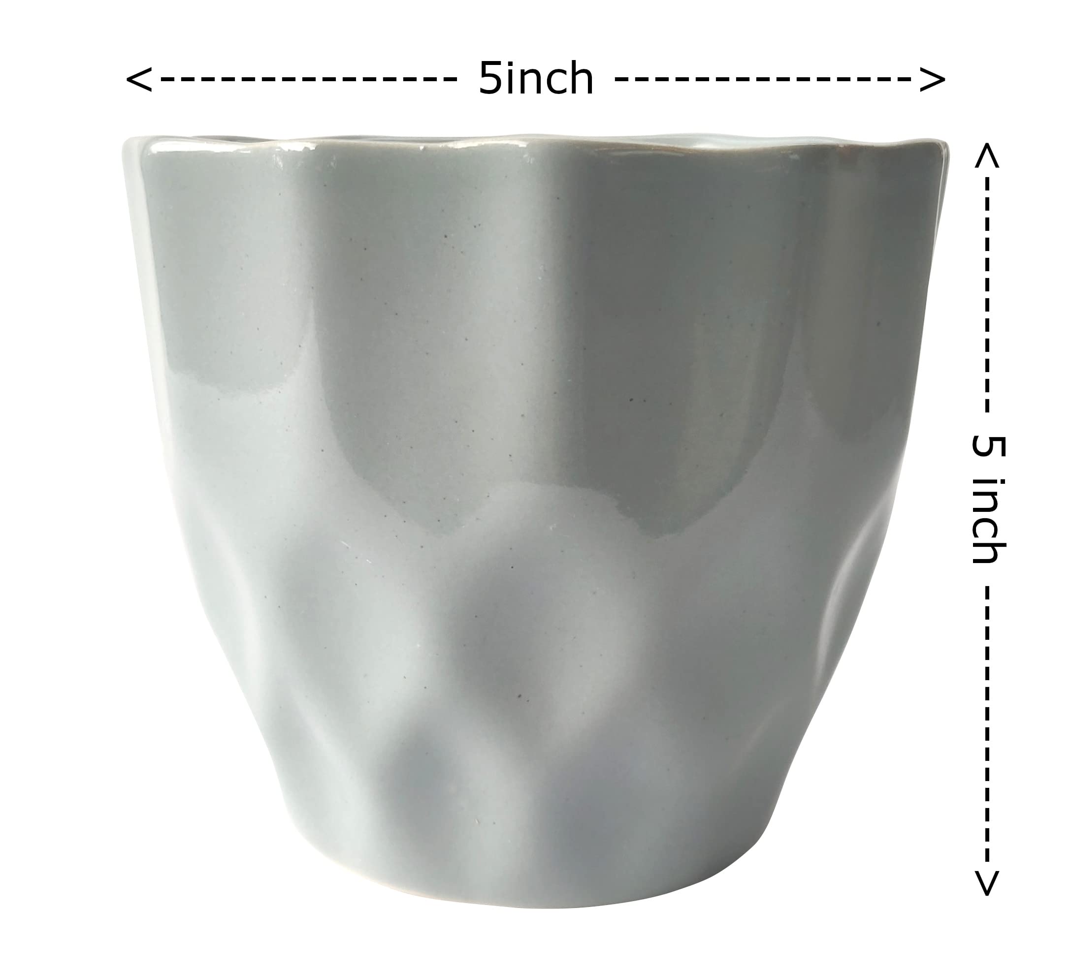 UrbanRoots Pineapple Ceramic Pot (5 inch) (Light Grey)