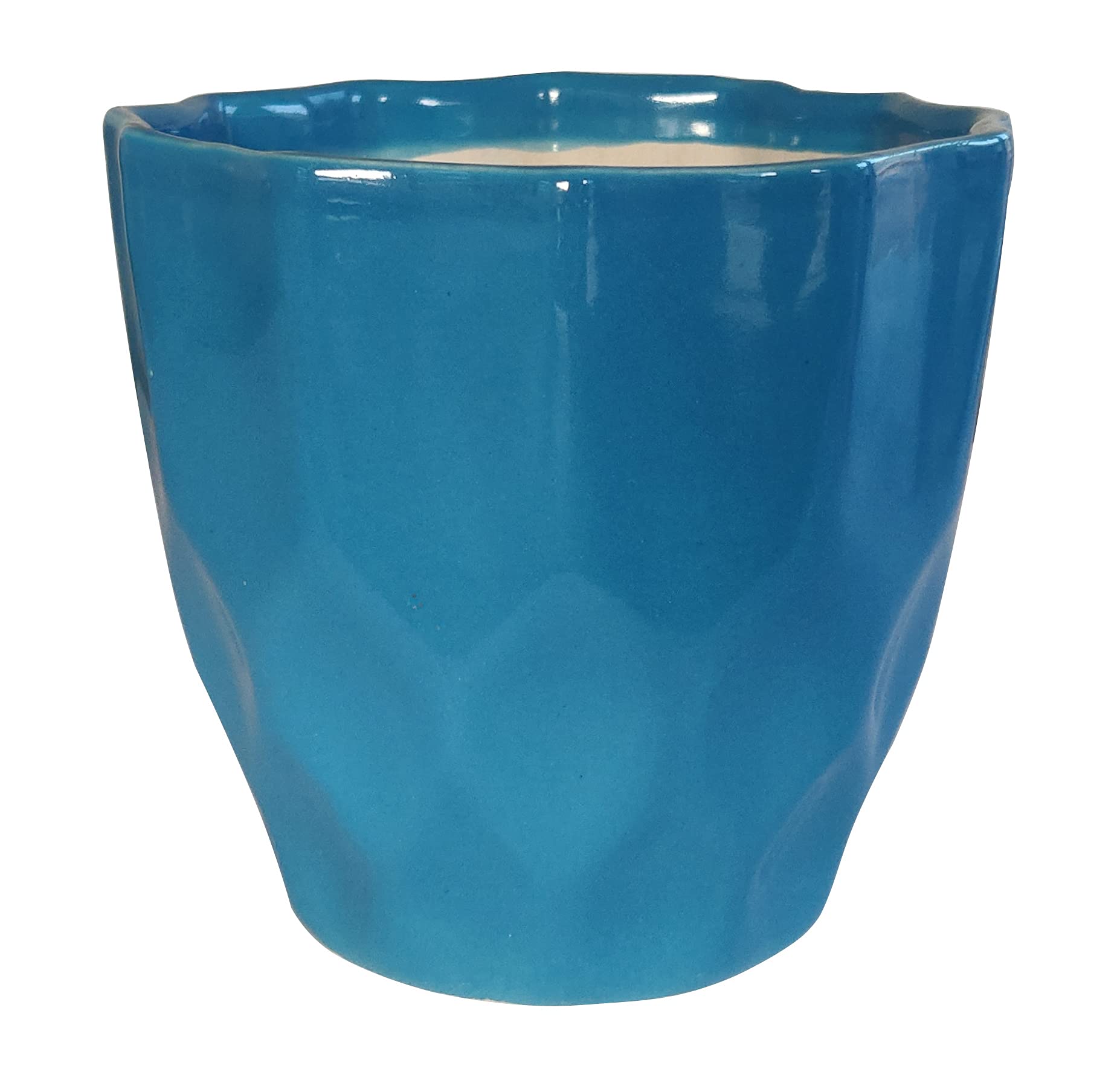UrbanRoots Pineapple Ceramic Pot (5 inch) (Royal Blue)