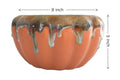 UrbanRoots Pumpkin Ceramic Pot (7 inch) (Peach)
