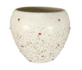 UrbanRoots Small Apple Ceramic Pot (Polka Dots)