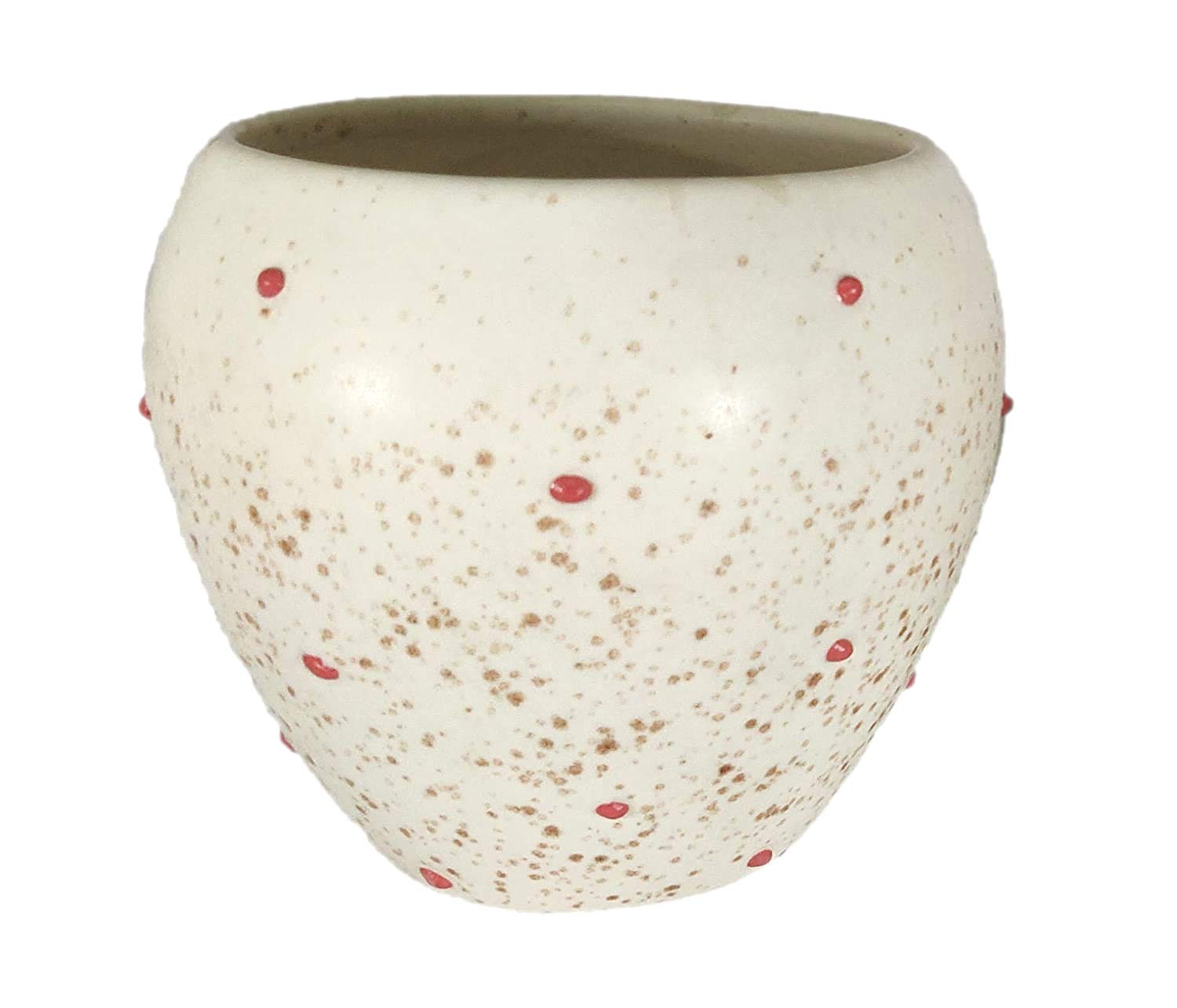 UrbanRoots Small Apple Ceramic Pot (Polka Dots)
