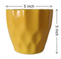UrbanRoots Pineapple Ceramic Pot (5 inch) (Mustard Yellow)