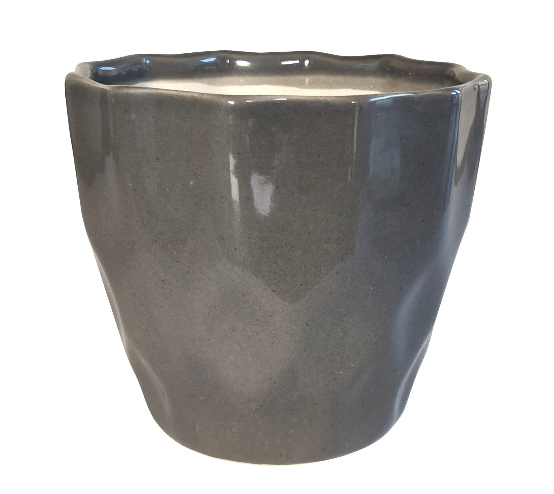 UrbanRoots Pineapple Ceramic Pot (5 inch) (Dark Grey)