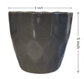 UrbanRoots Pineapple Ceramic Pot (5 inch) (Dark Grey)