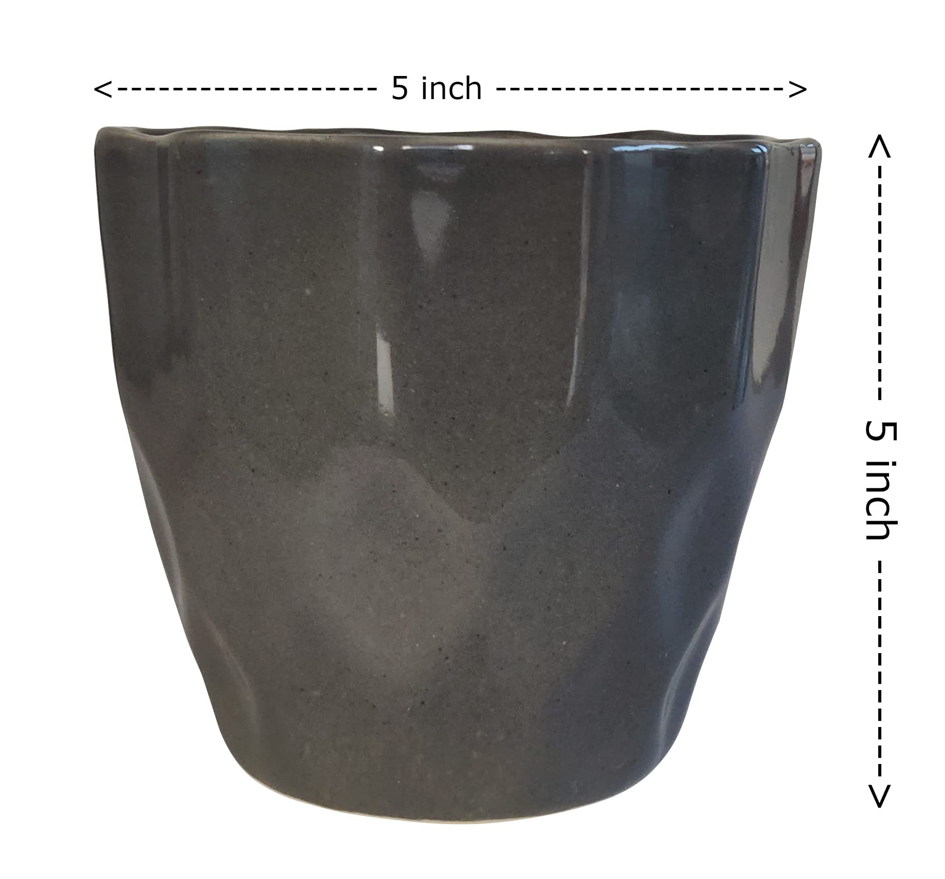 UrbanRoots Pineapple Ceramic Pot (5 inch) (Dark Grey)