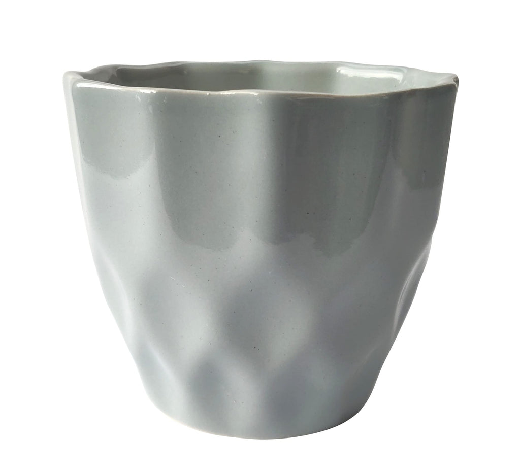 UrbanRoots Pineapple Ceramic Pot (5 inch) (Light Grey)