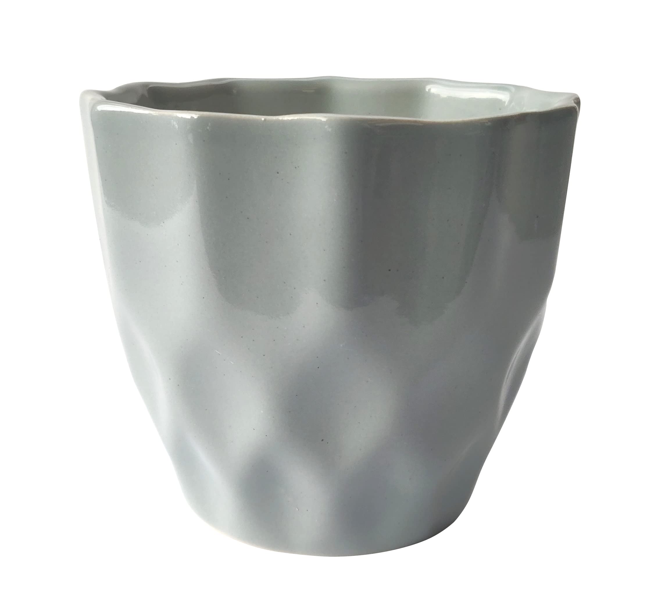 UrbanRoots Pineapple Ceramic Pot (5 inch) (Light Grey)