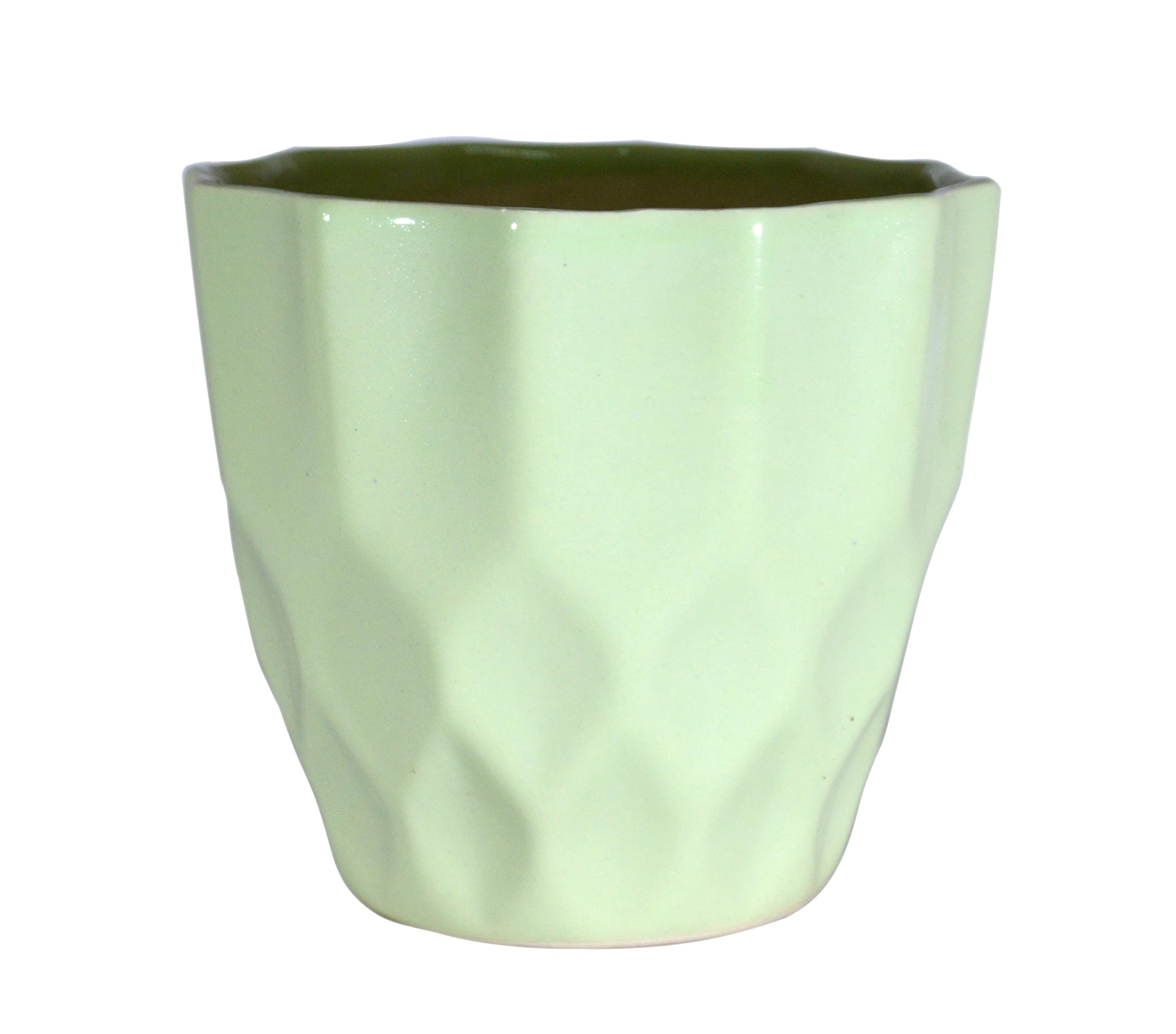 UrbanRoots Pineapple Ceramic Pot (5 inch) (Sea Green)