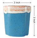 UrbanRoots Pipe Design Ceramic Pot (3 inch) (Blue)