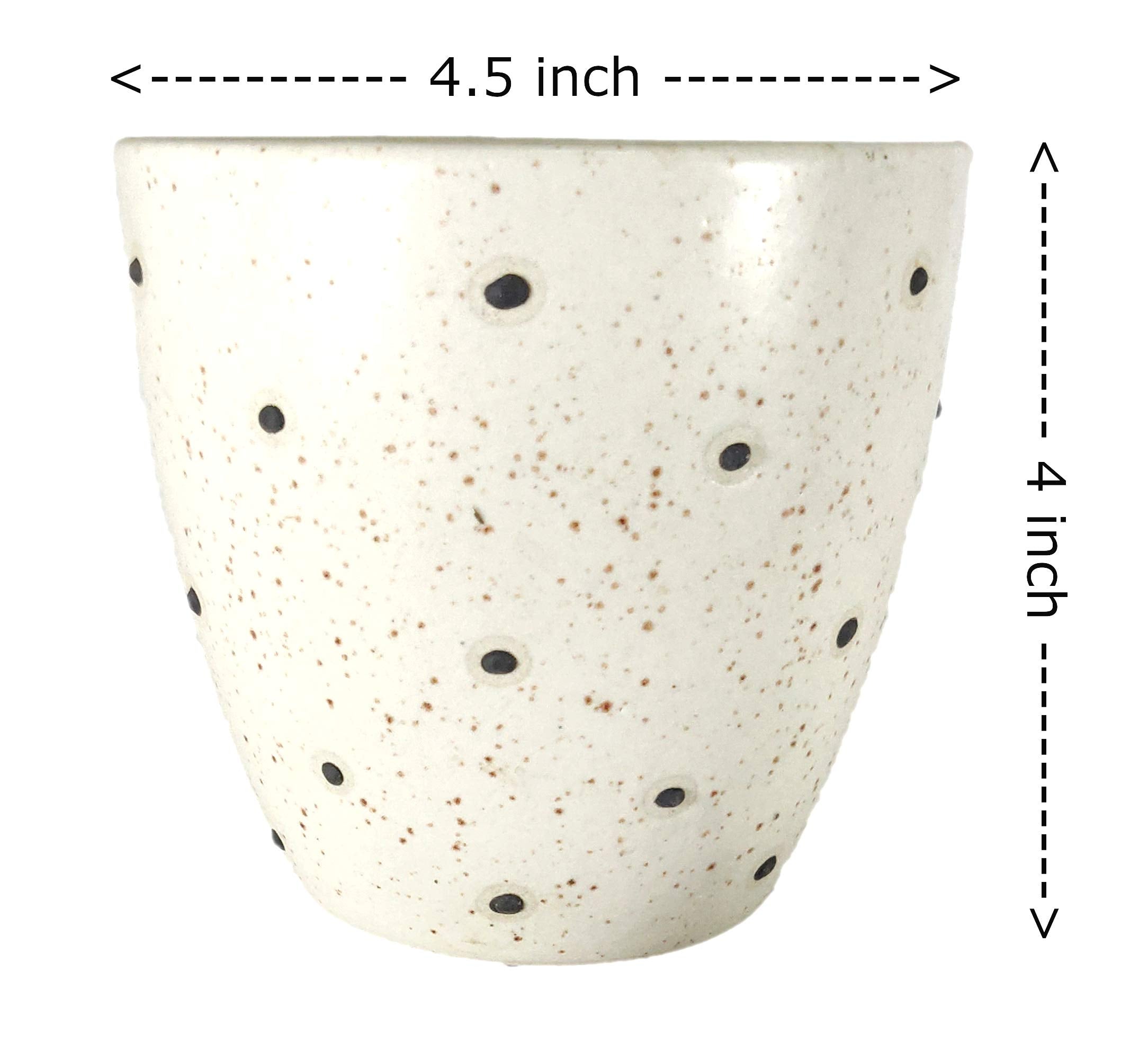 UrbanRoots Polka Dots Glass Shape Ceramic Pot (4.5 inch) (Black)