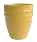 UrbanRoots Ripple Ceramic Pot (5 inch) (Mustard Yellow)