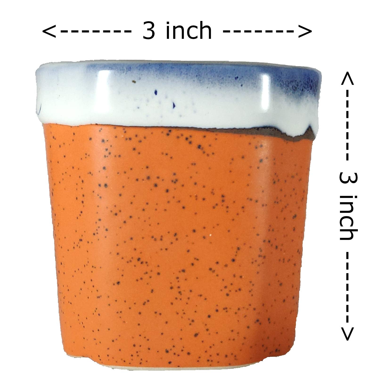 UrbanRoots Pipe Design Ceramic Pot (3 inch) (Combo)
