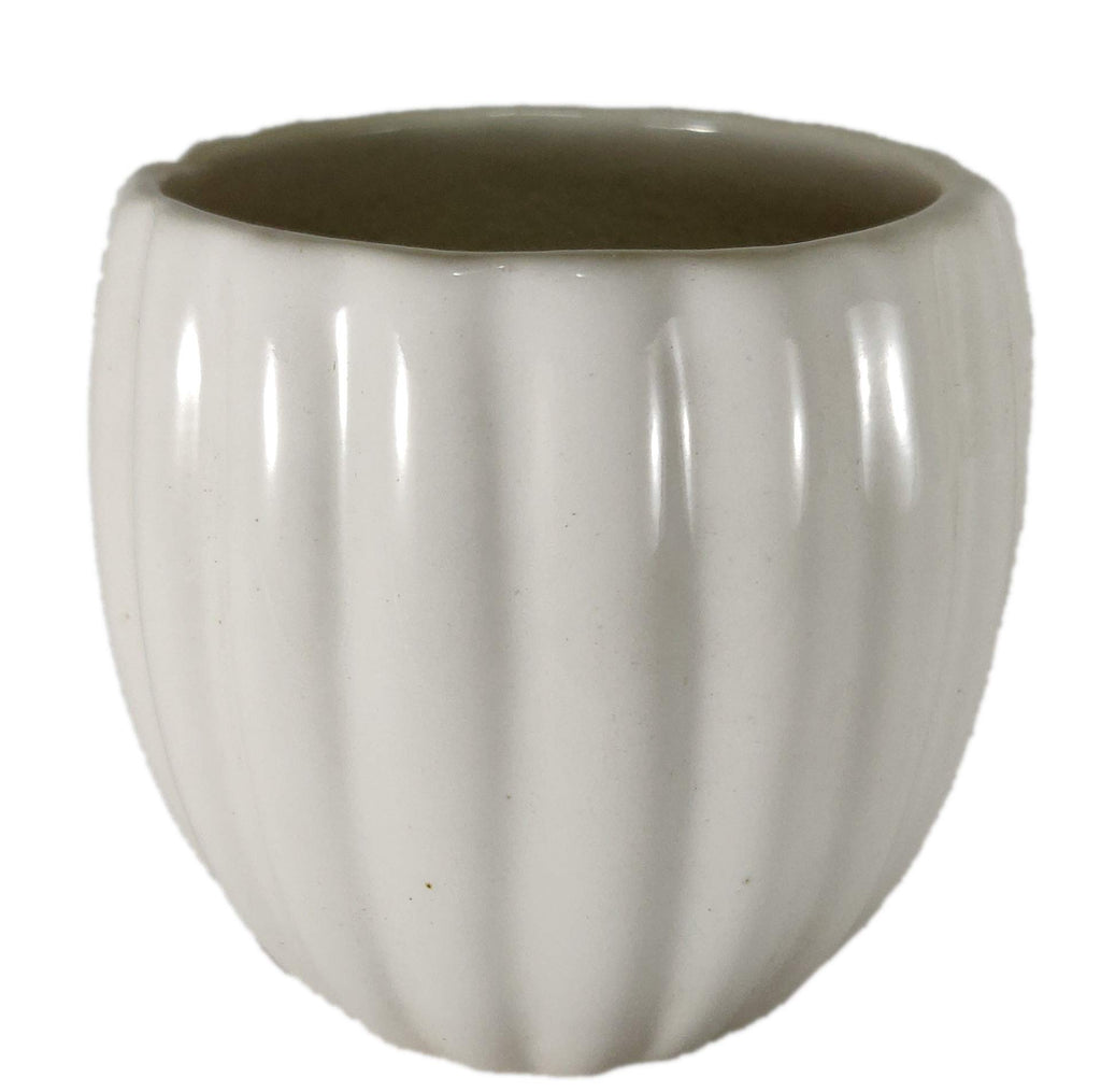UrbanRoots Vertical Ridges Ceramic Pot (3 inch) (White)