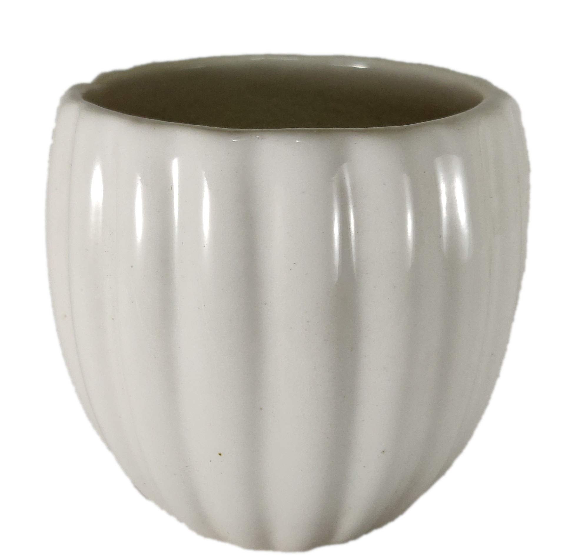 UrbanRoots Vertical Ridges Ceramic Pot (3 inch) (White)