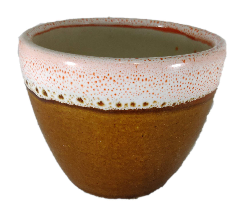 UrbanRoots Ceramic Pot for Succulent (3 inch) (Brown)