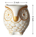UrbanRoots Ceramic Owl Planter (3 inch) (White)