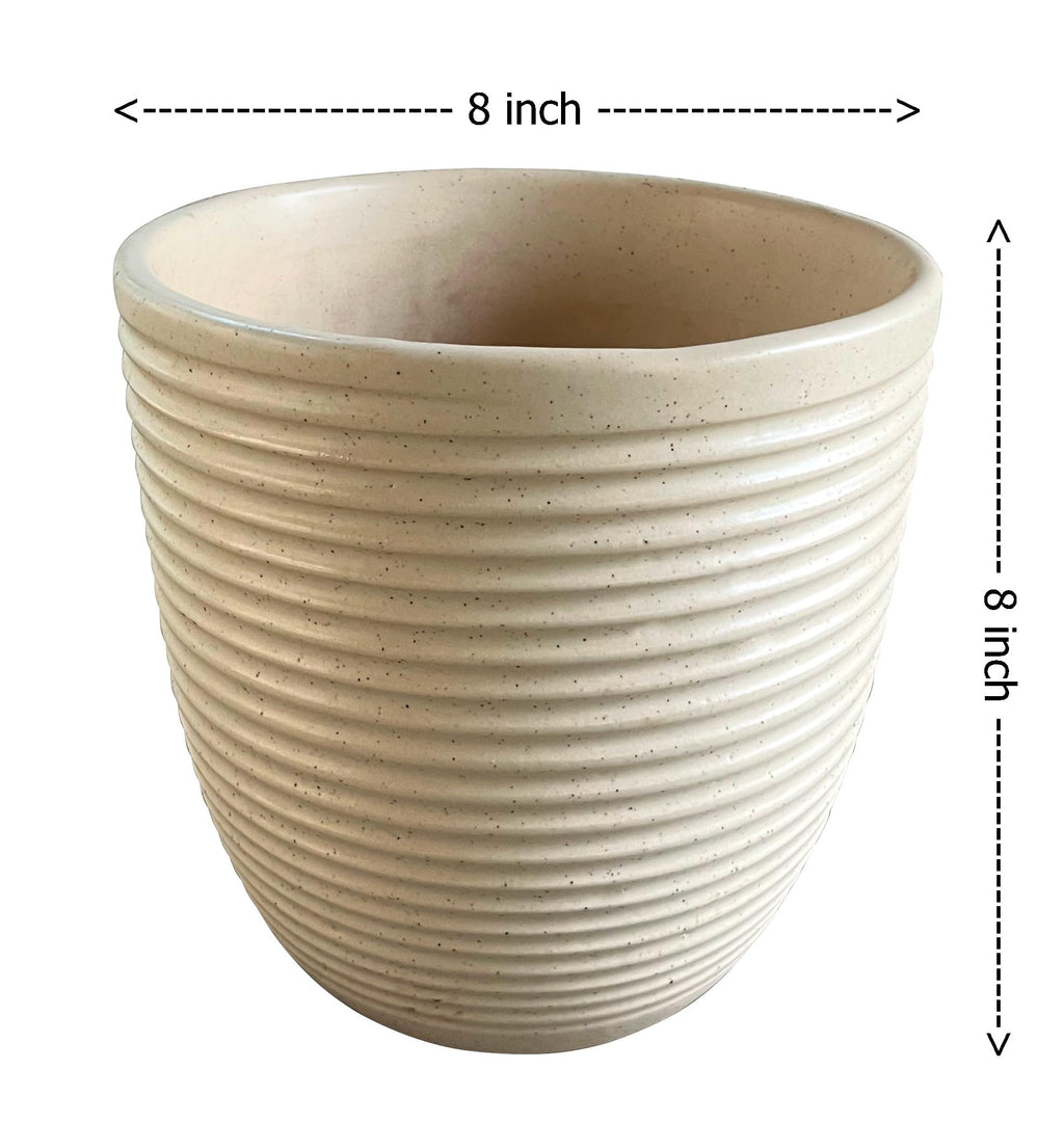 UrbanRoots Linea Ceramic Pot (Medium)