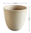 UrbanRoots Linea Ceramic Pot (Medium)