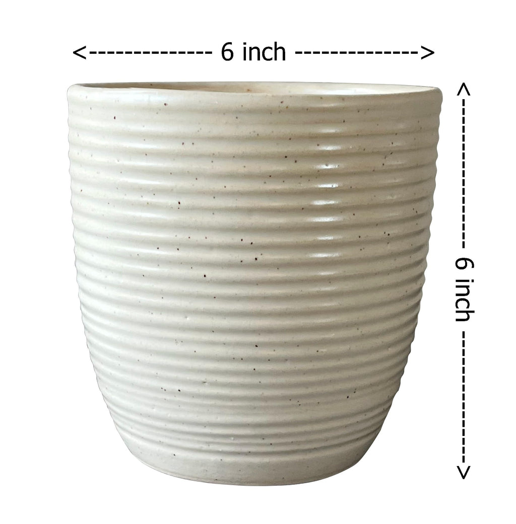 UrbanRoots Linea Ceramic Pot (Small)