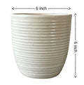 UrbanRoots Linea Ceramic Pot (Small)