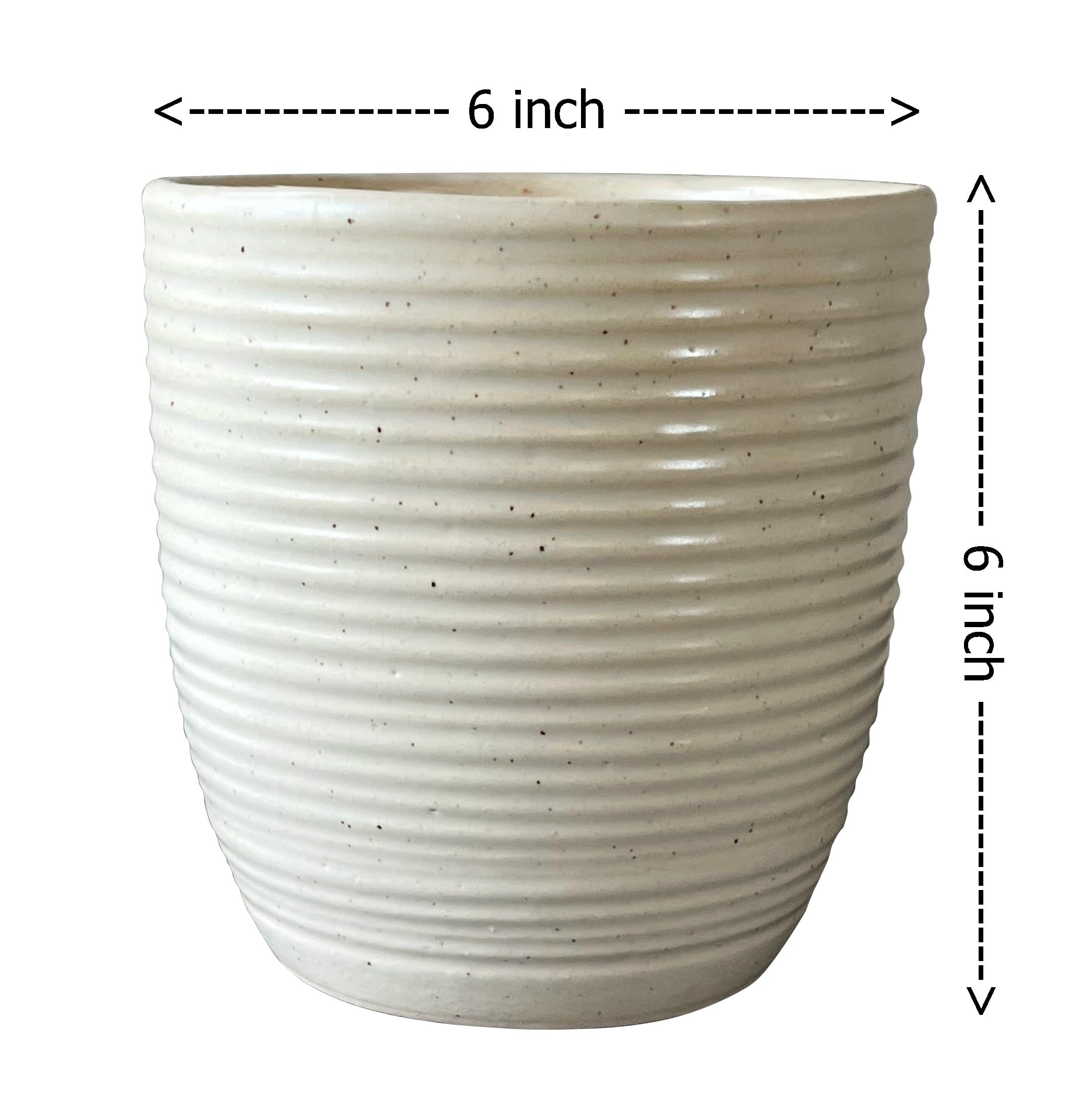 UrbanRoots Linea Ceramic Pot (Small)