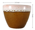UrbanRoots Ceramic Pot for Succulent (3 inch) (Combo)