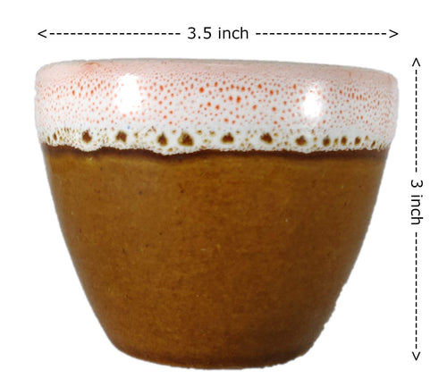 UrbanRoots Ceramic Pot for Succulent (3 inch) (Combo)