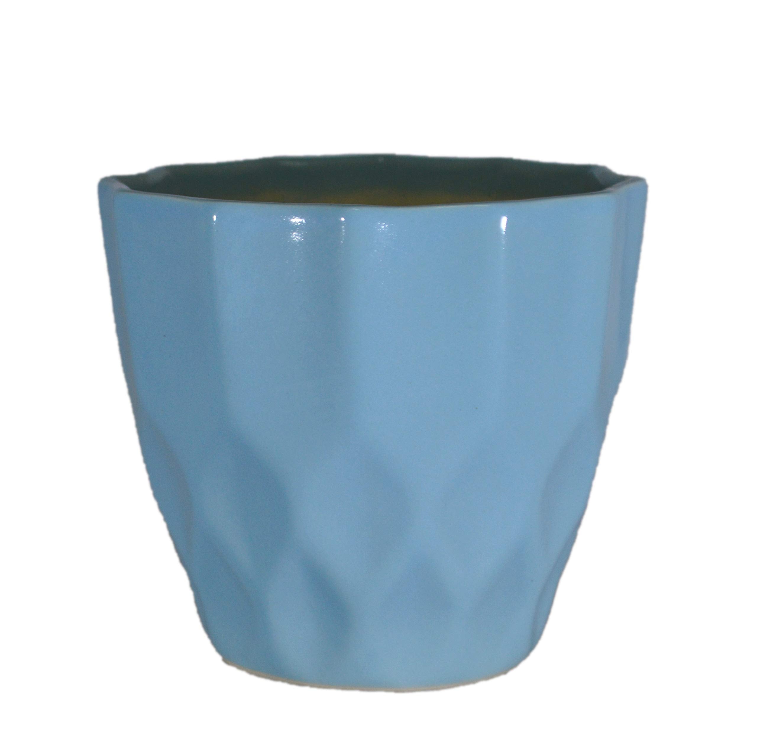 UrbanRoots Pineapple Ceramic Pot (5 inch) (Sky Blue)