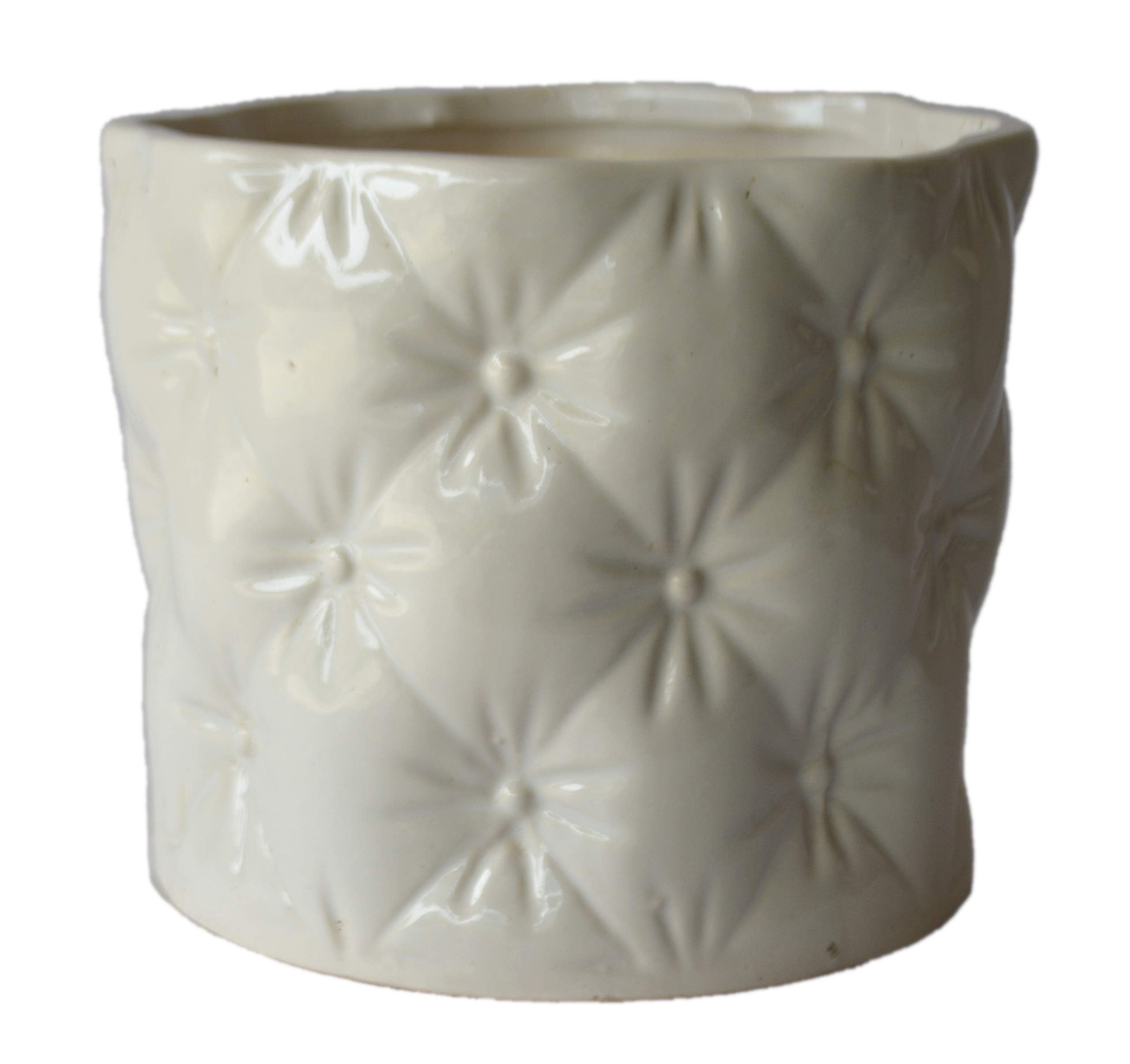 UrbanRoots Floral Engraved Ceramic Pot (6 inch) (White)