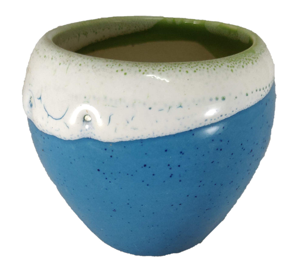 UrbanRoots Small Apple Ceramic Pot (Blue)