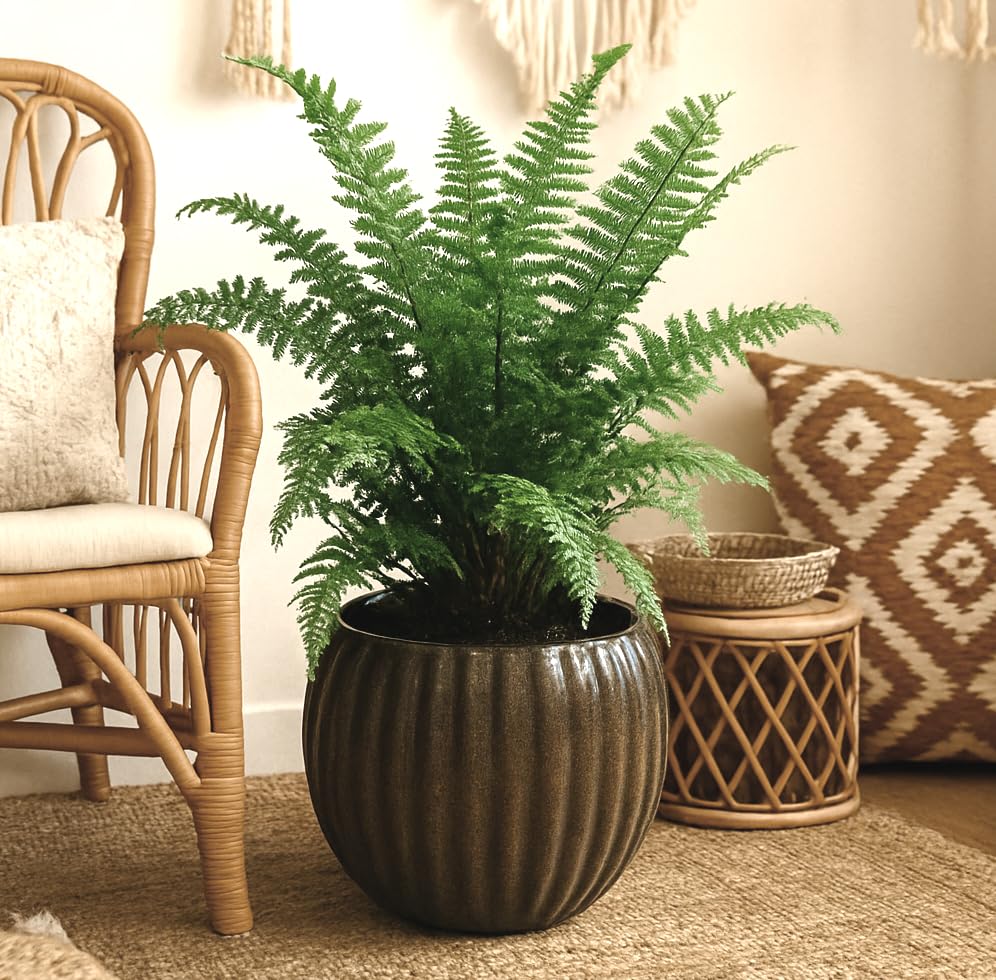 UrbanRoots Fluted Ball Ceramic Planter (Brown, Medium)
