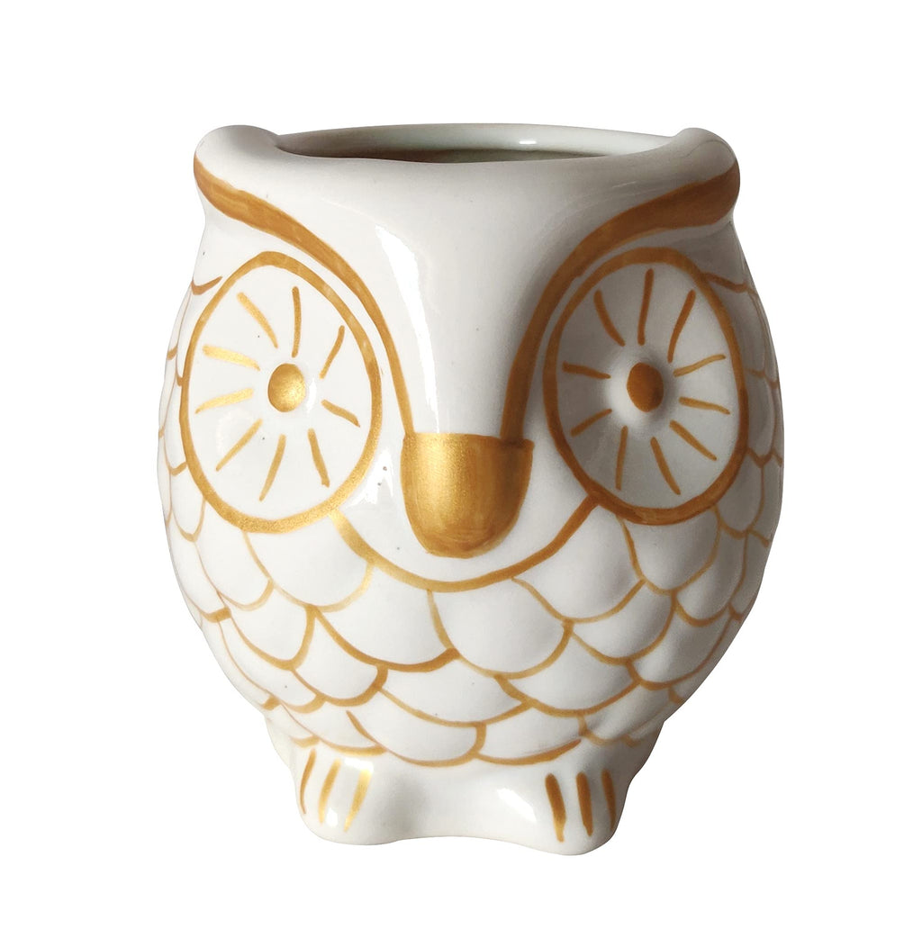 UrbanRoots Ceramic Owl Planter (3 inch) (White)