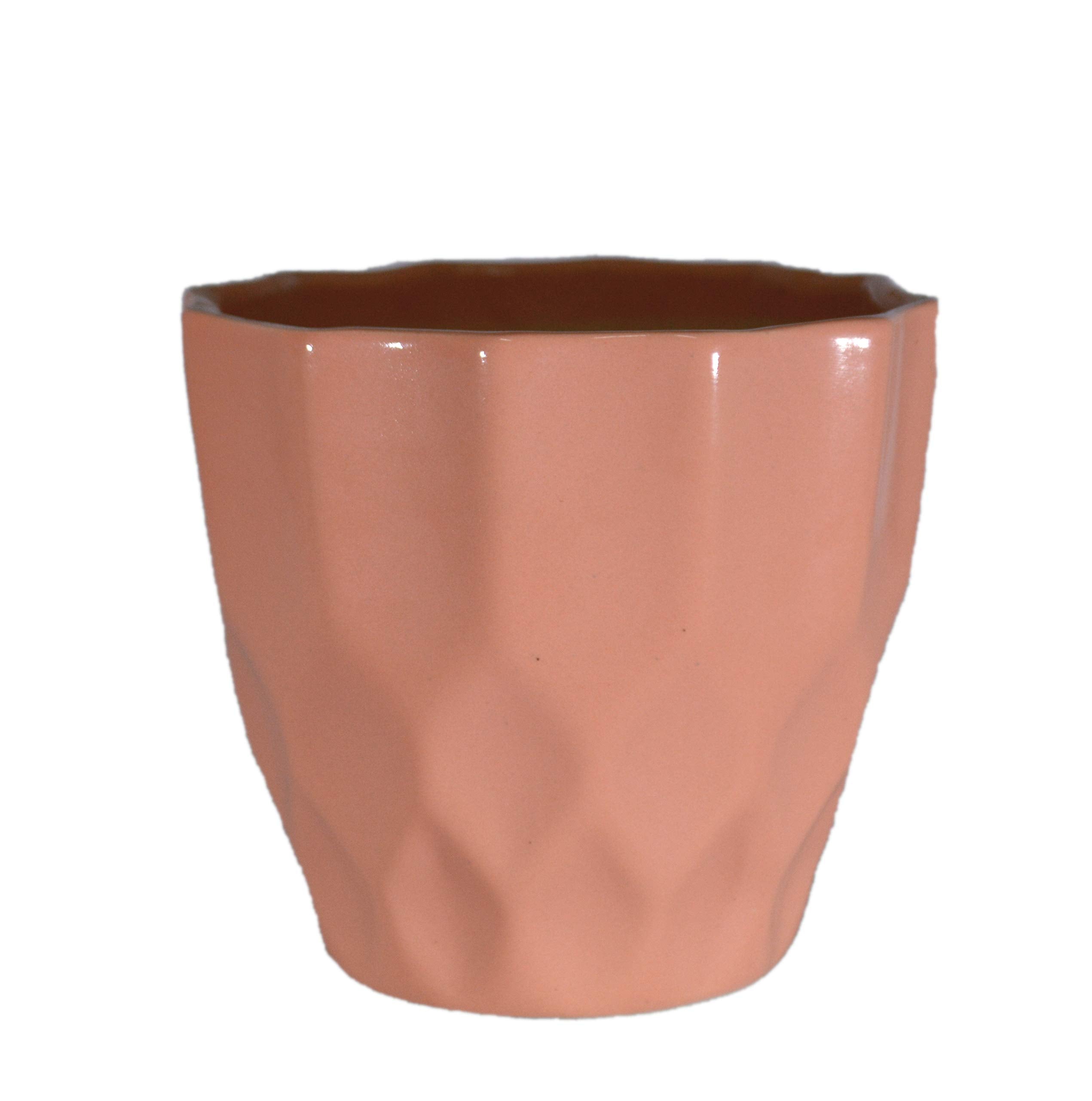 UrbanRoots Pineapple Ceramic Pot (5 inch) (Peach)