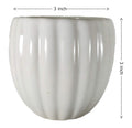 UrbanRoots Vertical Ridges Ceramic Pot (3 inch) (White)