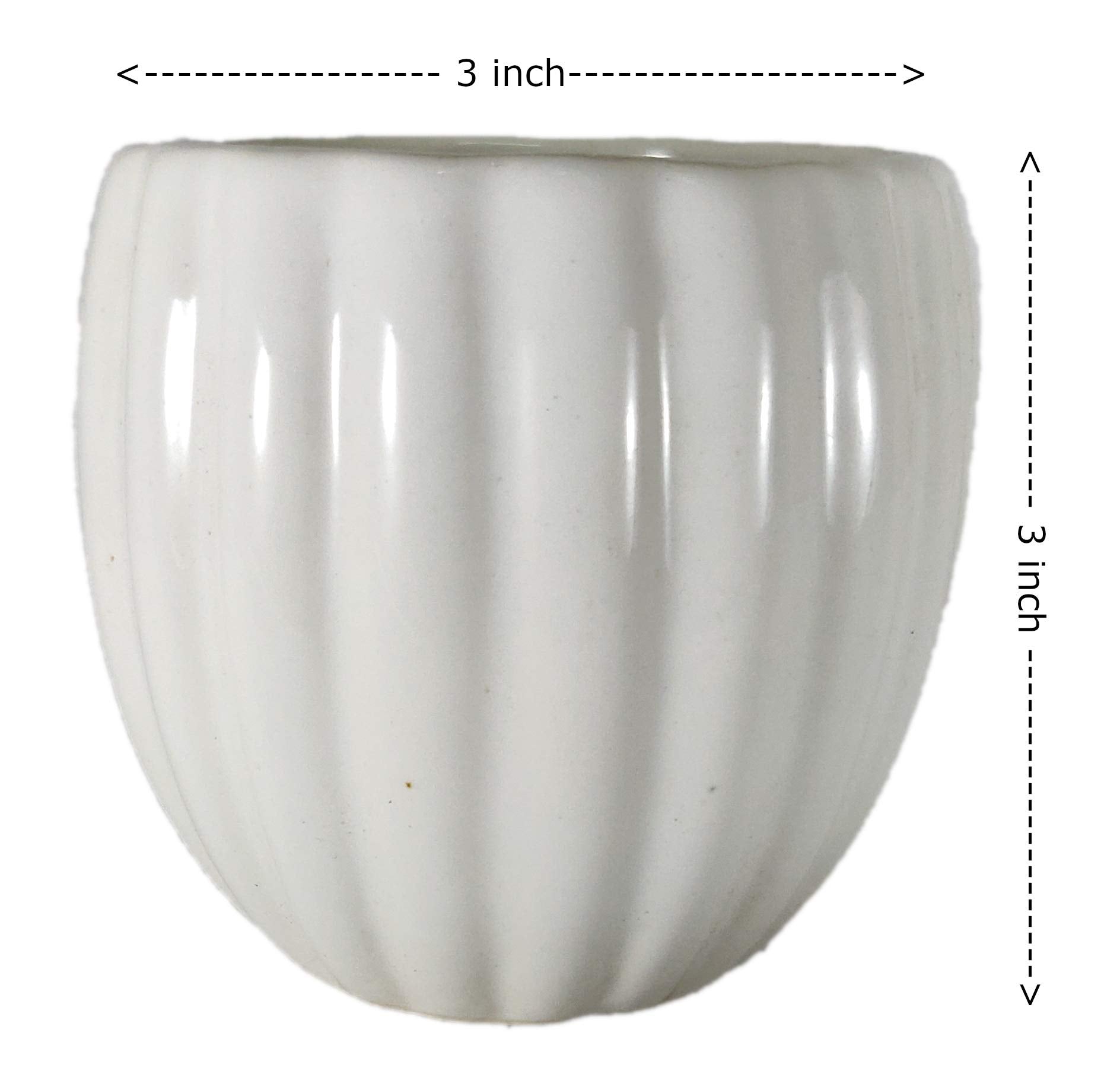 UrbanRoots Vertical Ridges Ceramic Pot (3 inch) (White)