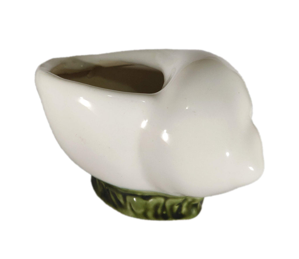 UrbanRoots Shell Ceramic Planter for Succulents (6 inch)