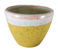 UrbanRoots Ceramic Pot for Succulent (3 inch) (Yellow)