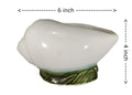 UrbanRoots Shell Ceramic Planter for Succulents (6 inch)