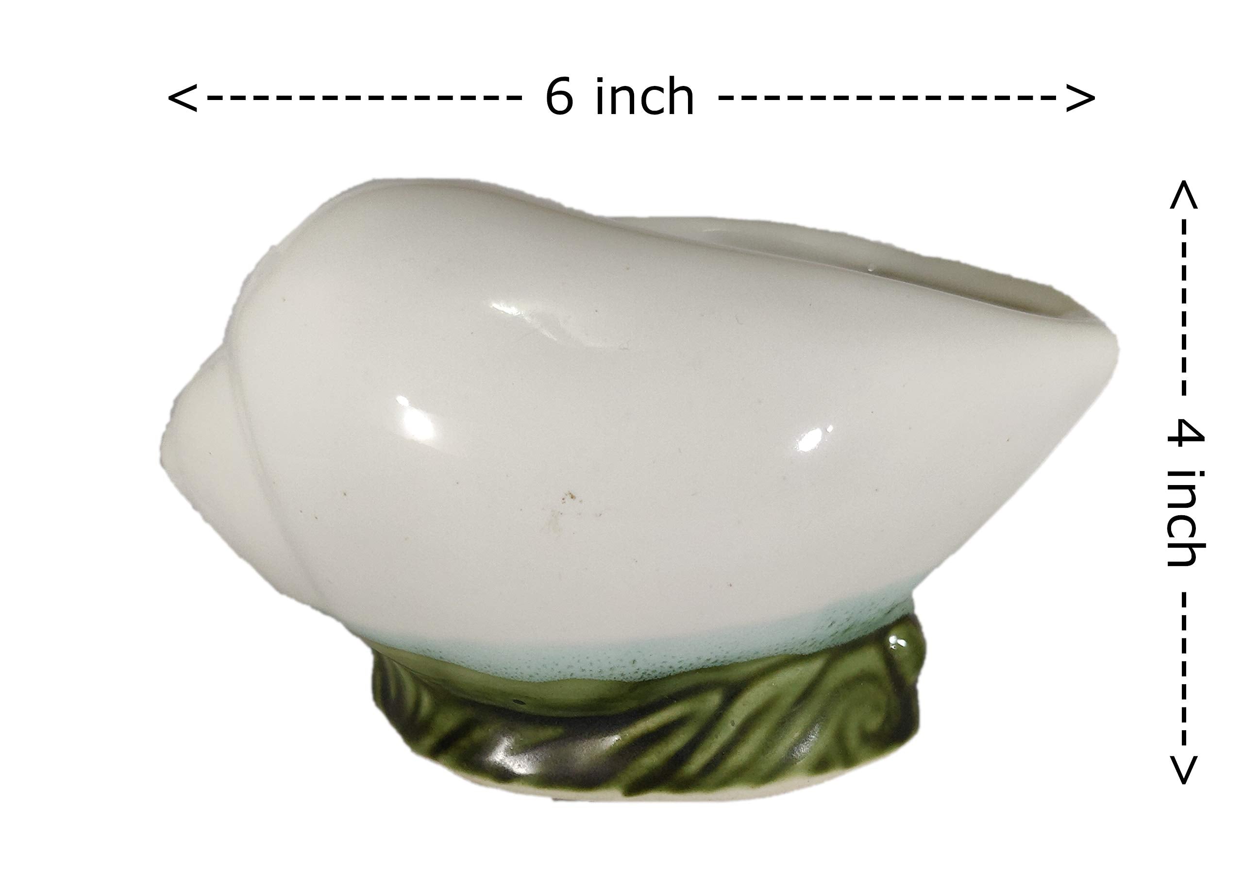 UrbanRoots Shell Ceramic Planter for Succulents (6 inch)