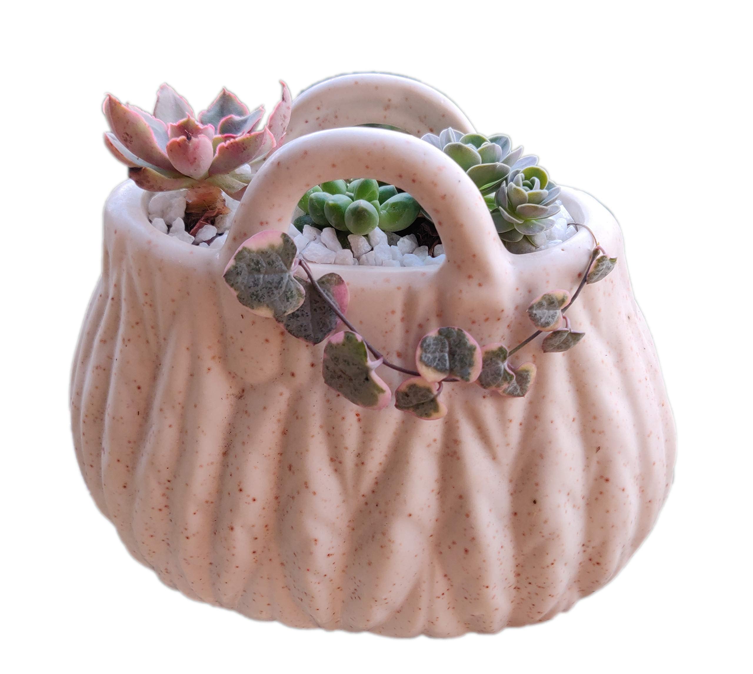 UrbanRoots Purse Ceramic Pot for Succulents (Plants not Included) (White)