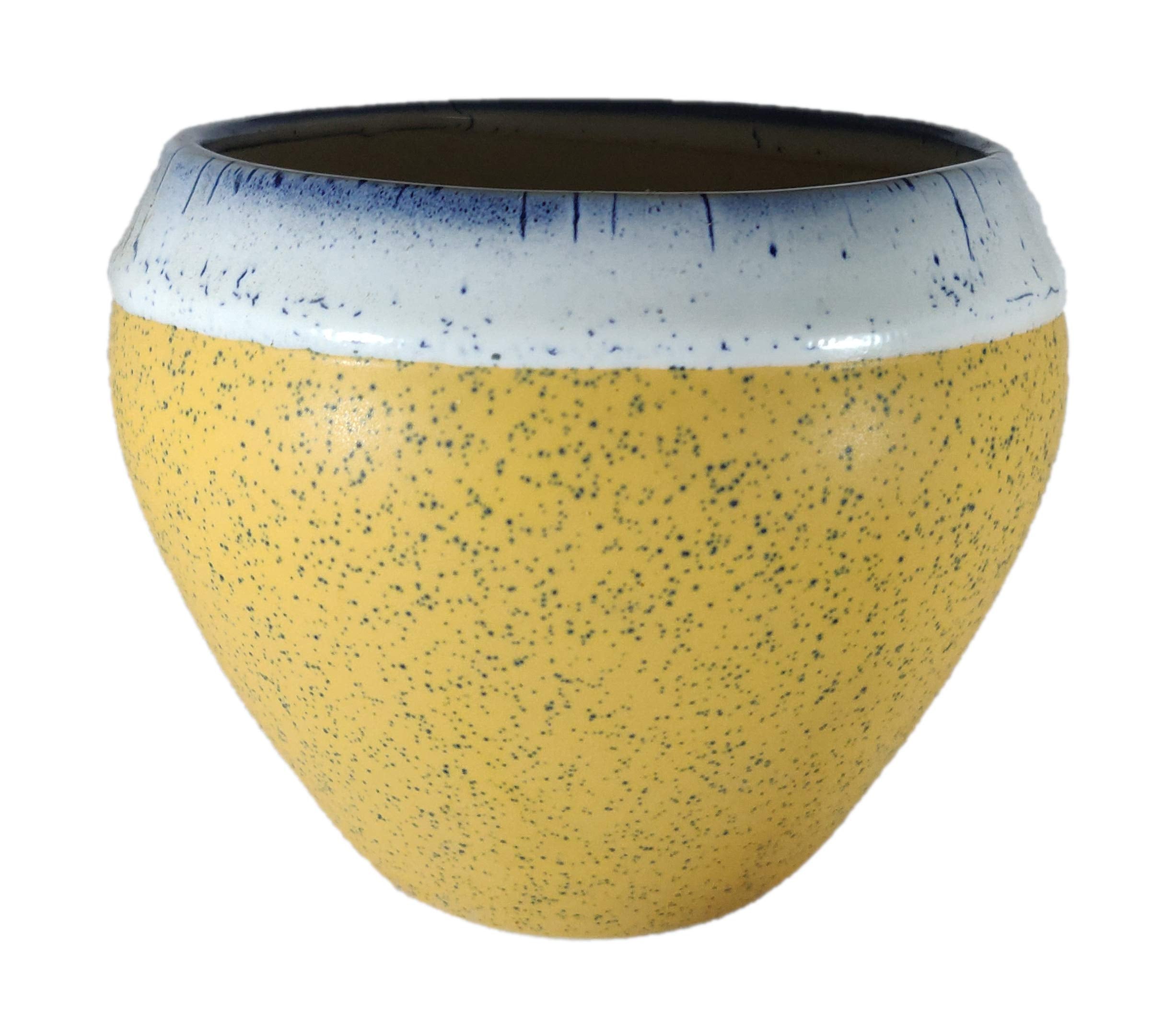 UrbanRoots Big Apple Ceramic Pot (6 inch) (Yellow)