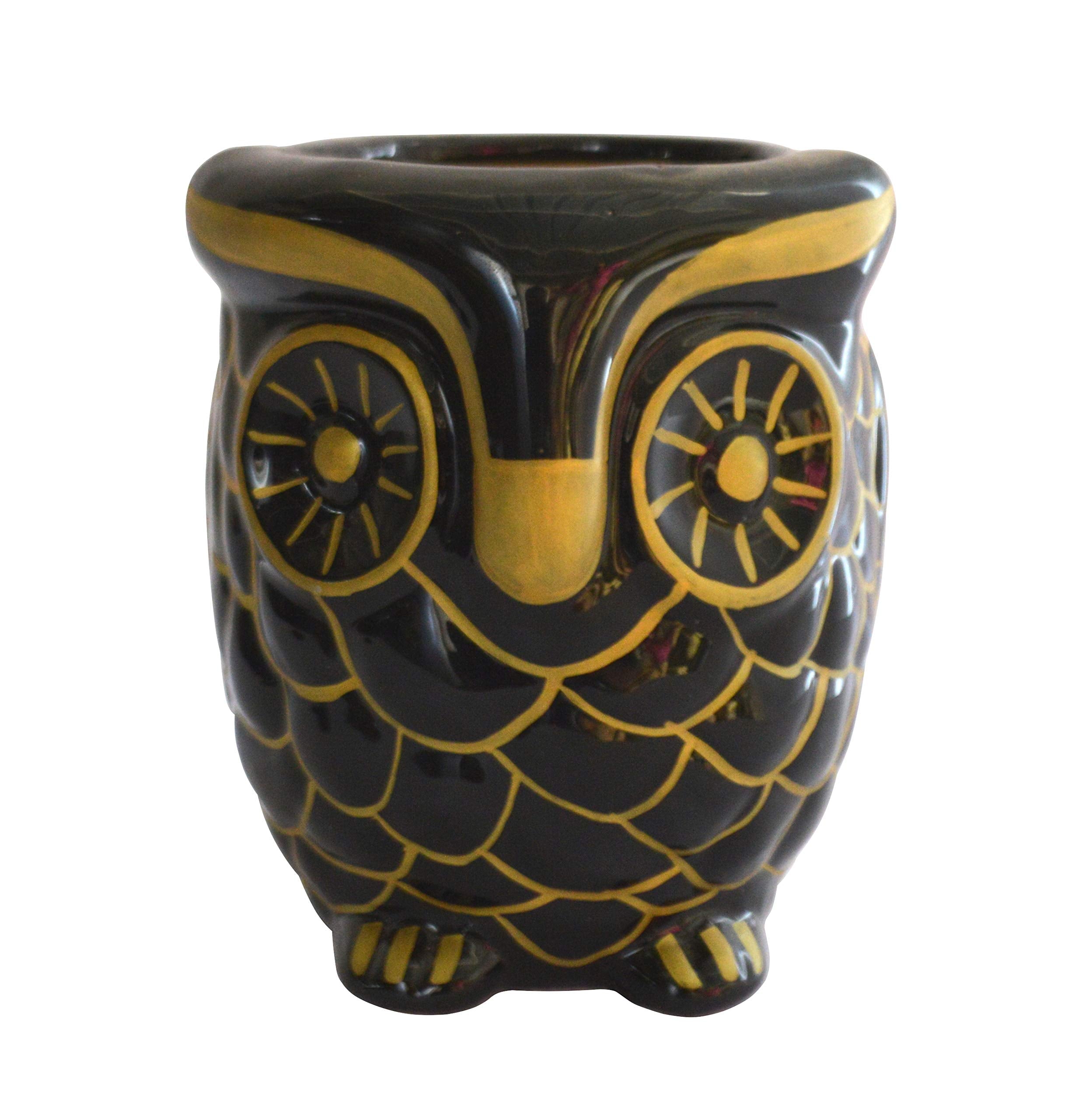 UrbanRoots Ceramic Big Owl Planter (5 inch) (Black)
