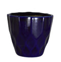 UrbanRoots Pineapple Ceramic Pot (5 inch) (Dark Blue)