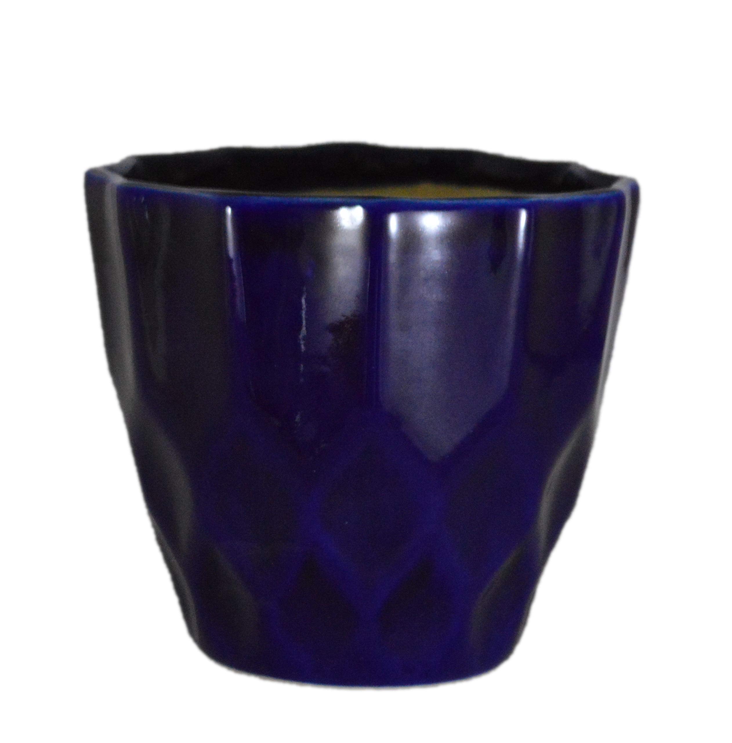 UrbanRoots Pineapple Ceramic Pot (5 inch) (Dark Blue)