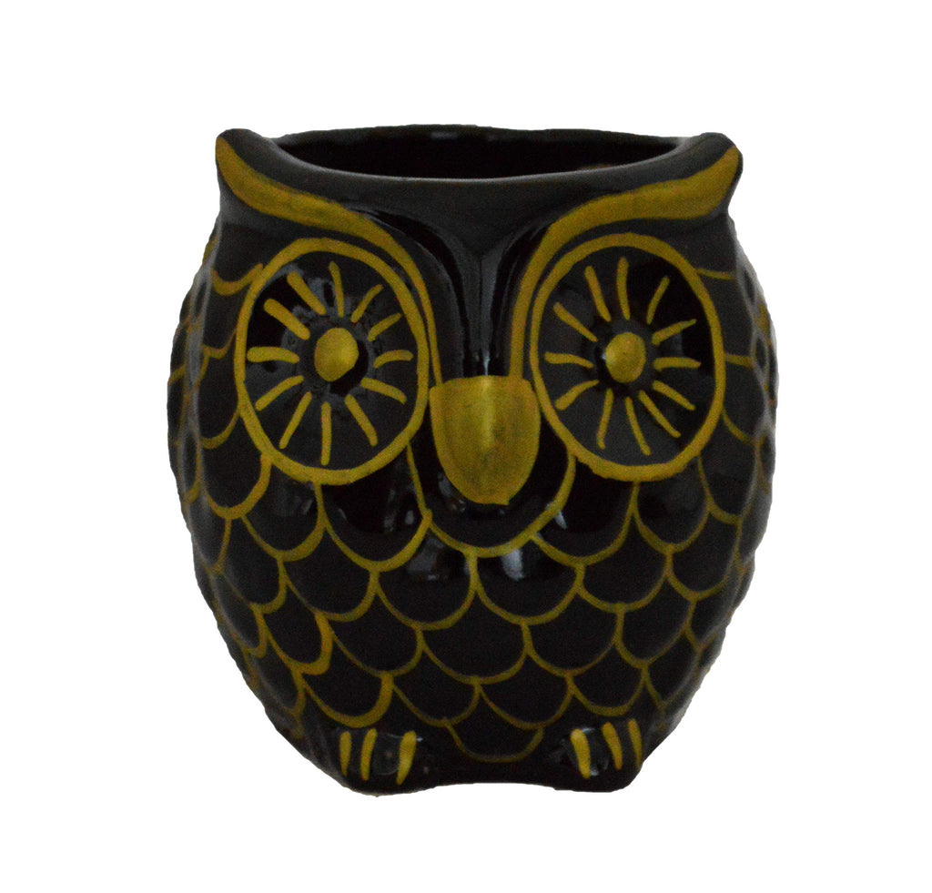 UrbanRoots Ceramic Owl Planter (3 inch) (Black)