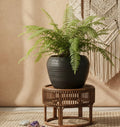 UrbanRoots Ribbed Apple Ceramic Pot (Big) (Black)