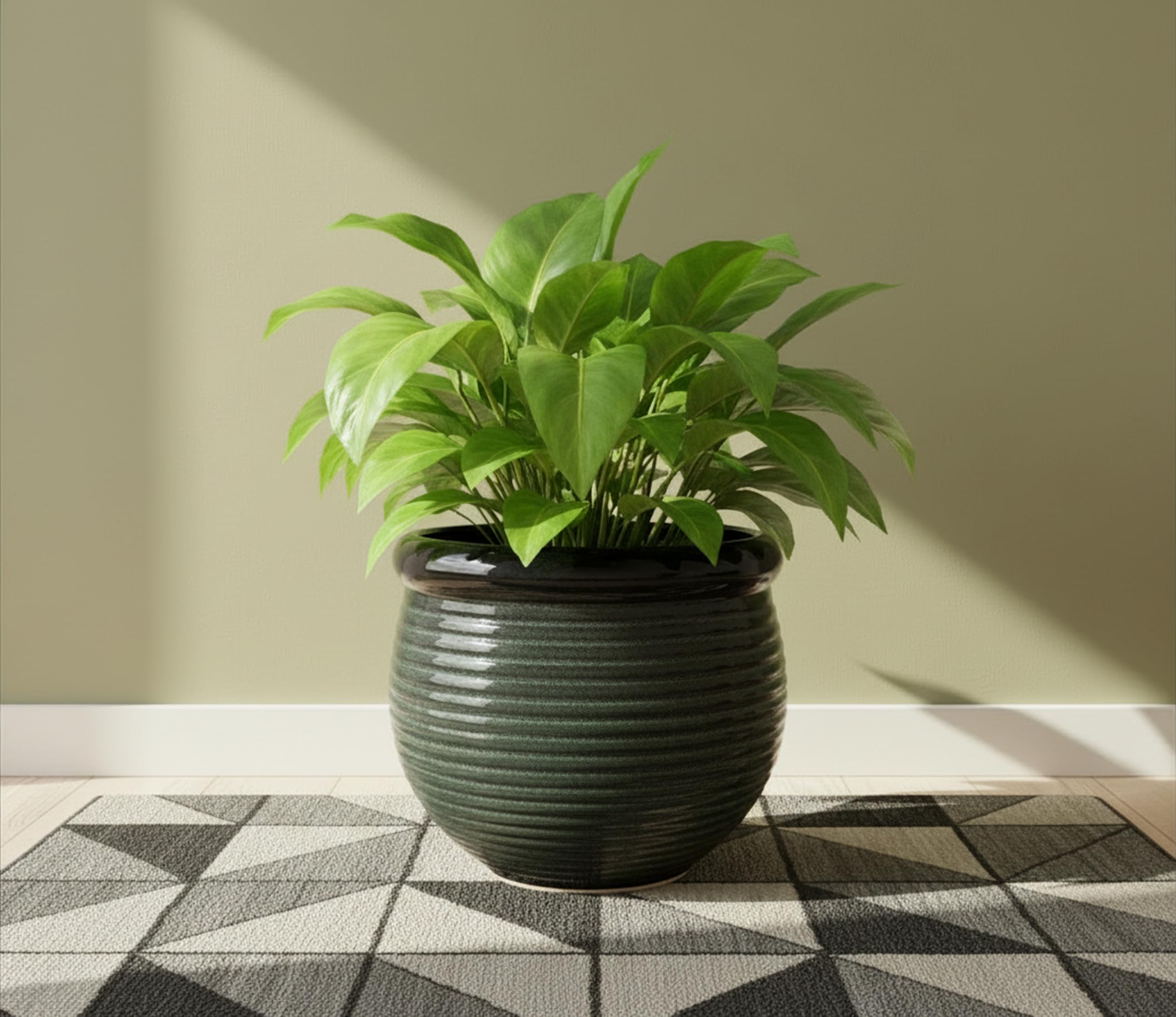 UrbanRoots Ribbed Round Ceramic Pot (10 inch) (Avocado Green)